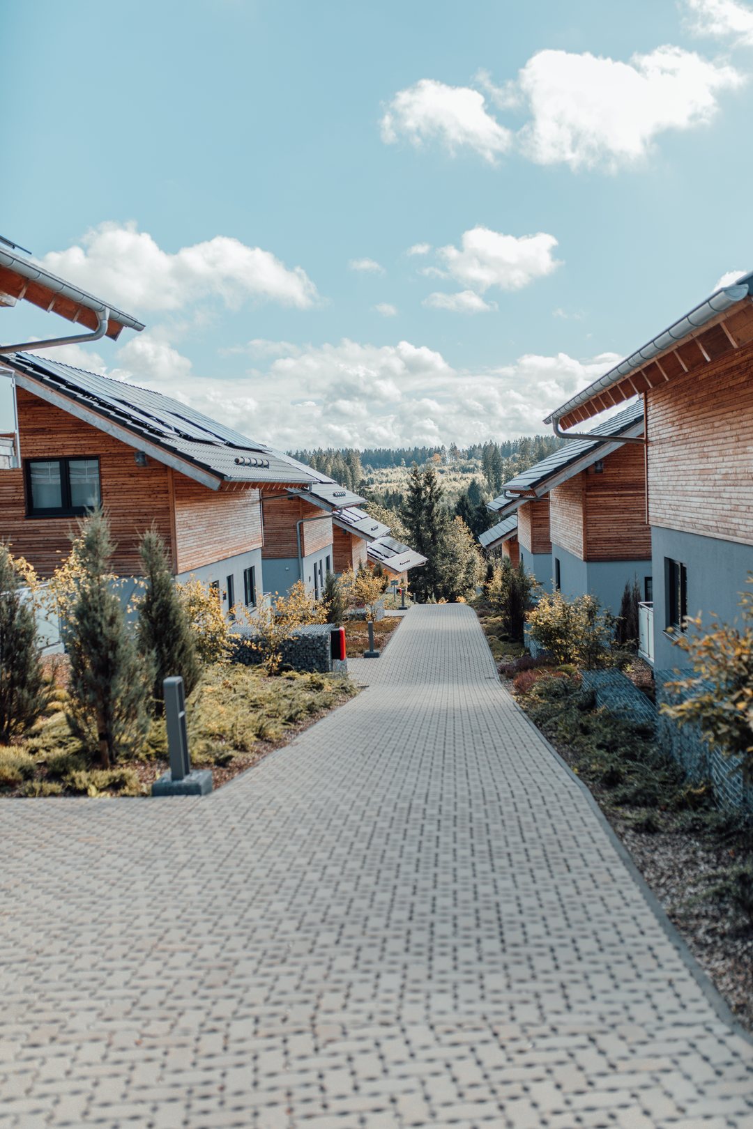 Formato vertical: un camino empedrado discurre entre los chalets revestidos de madera de Hahnenklee