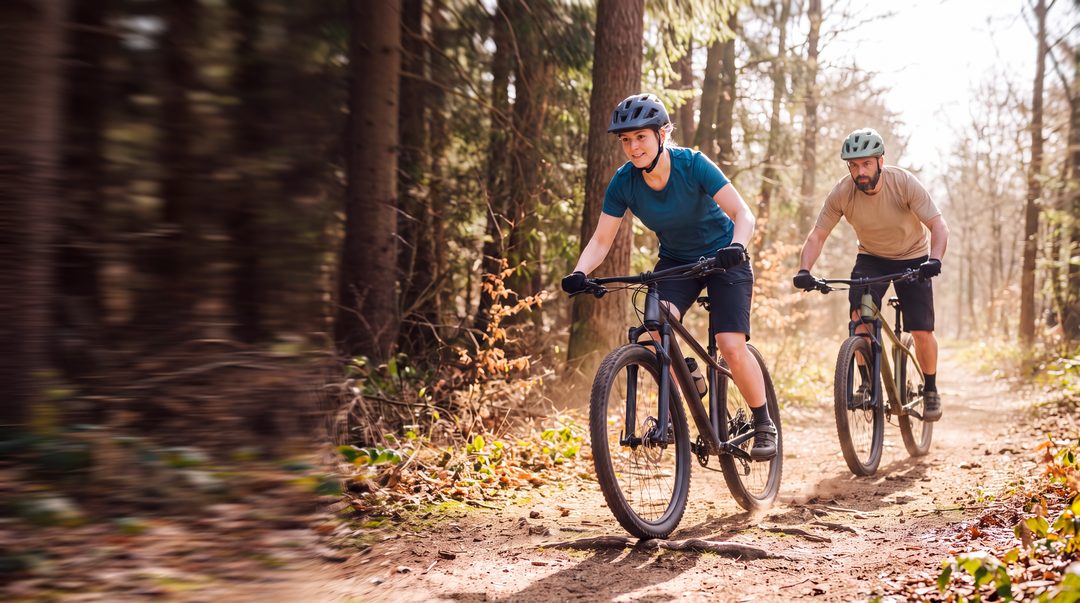 To mountainbikere med hjelme kører i modlys ad en skovsti med rødder, støv hvirvler op, symbolbillede