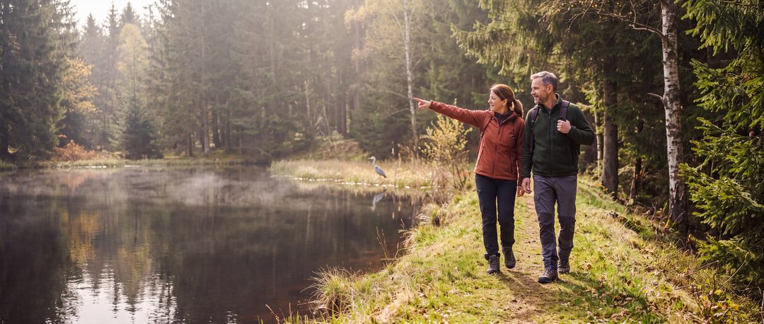Escena generada inspirada en el Harz: una pareja de excursionistas camina por el dique de un estanque boscoso envuelto en niebla; ella señala a una garza real; imagen ilustrativa