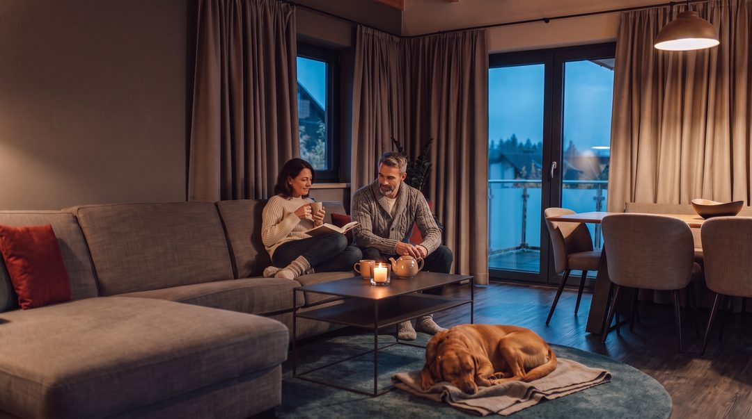 Una pareja lee por la noche en el sofá del salón de un chalet; el perro duerme sobre su propia manta en la alfombra; imagen ilustrativa