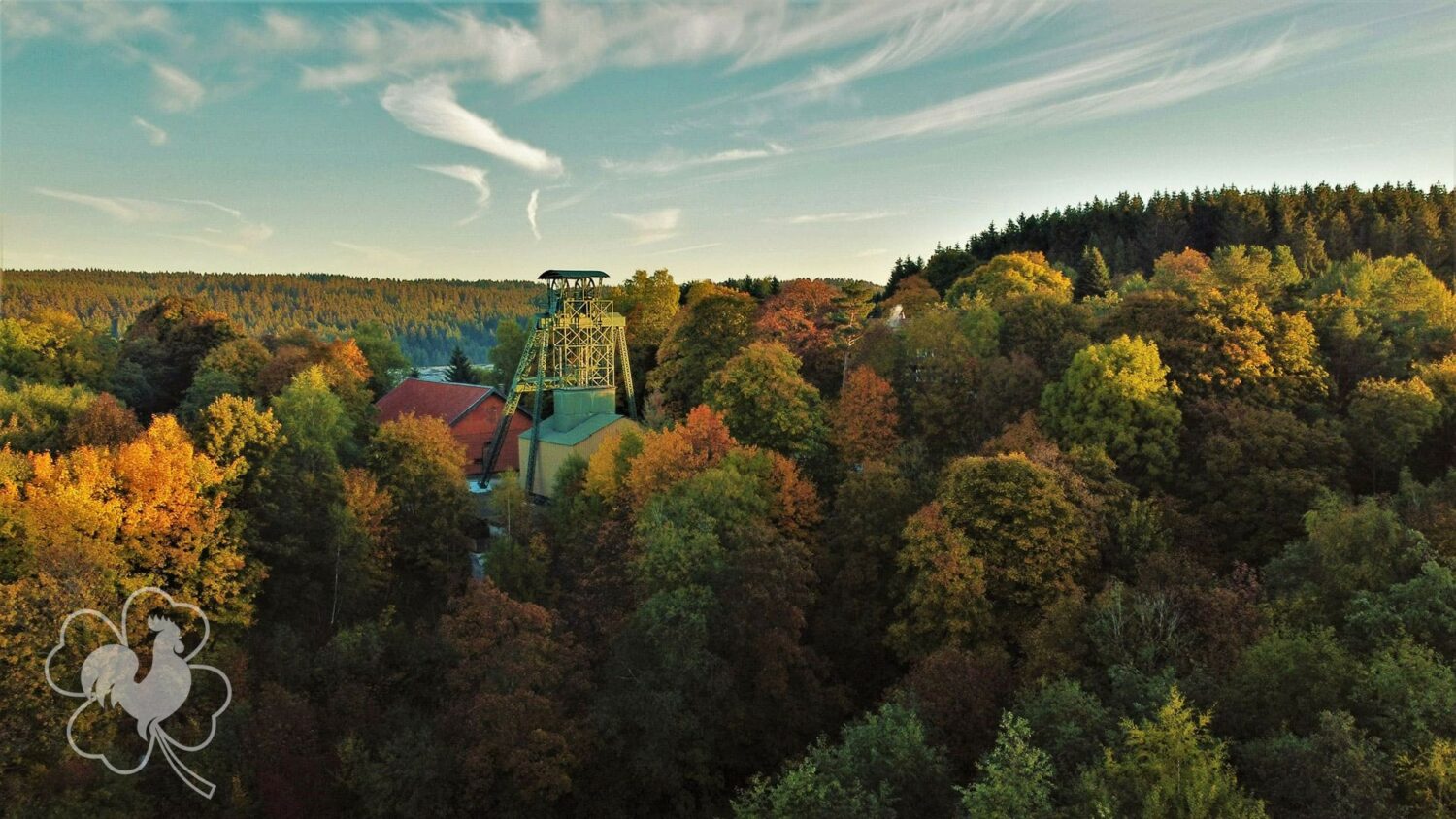 Harz Hahnenklee Natur