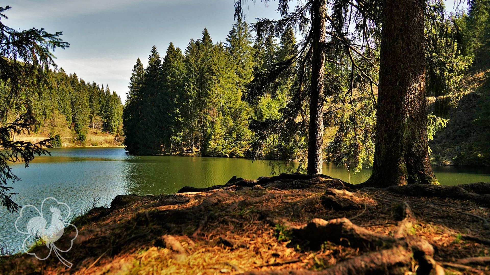 Hahnenklee Resort Harz Natur